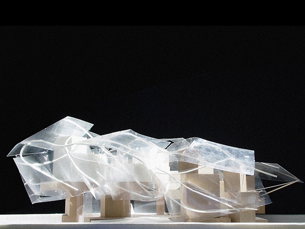 Frank Gehry at Fondation Louis Vuitton, Paris — Mousse Magazine and  Publishing
